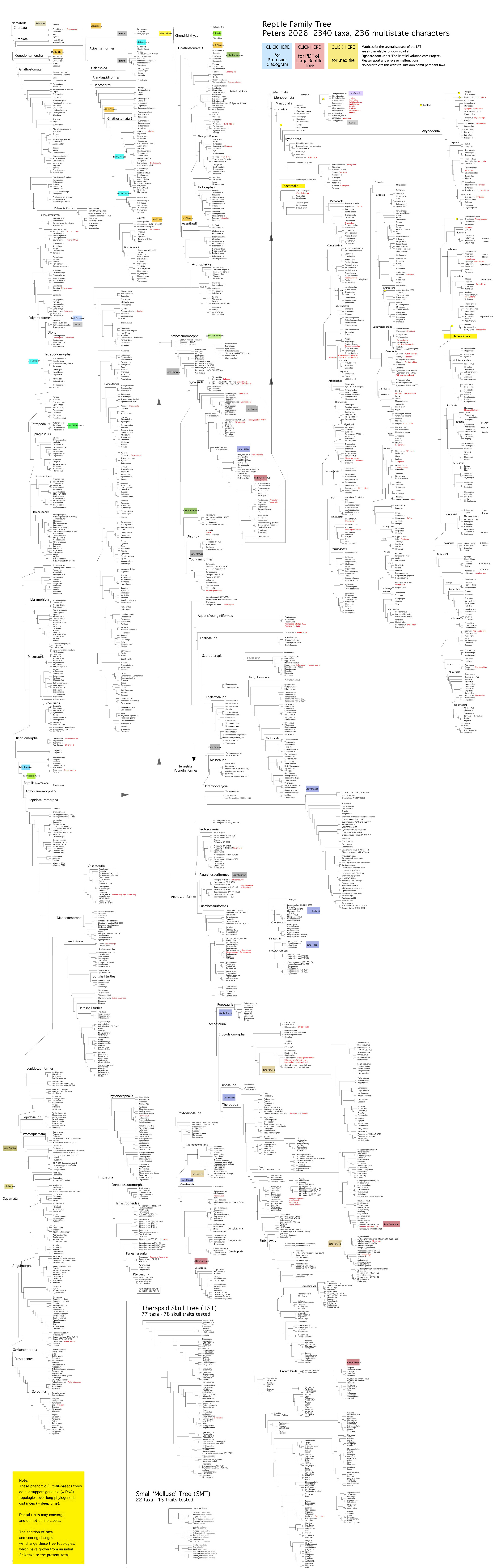 Large Reptile Family Tree
